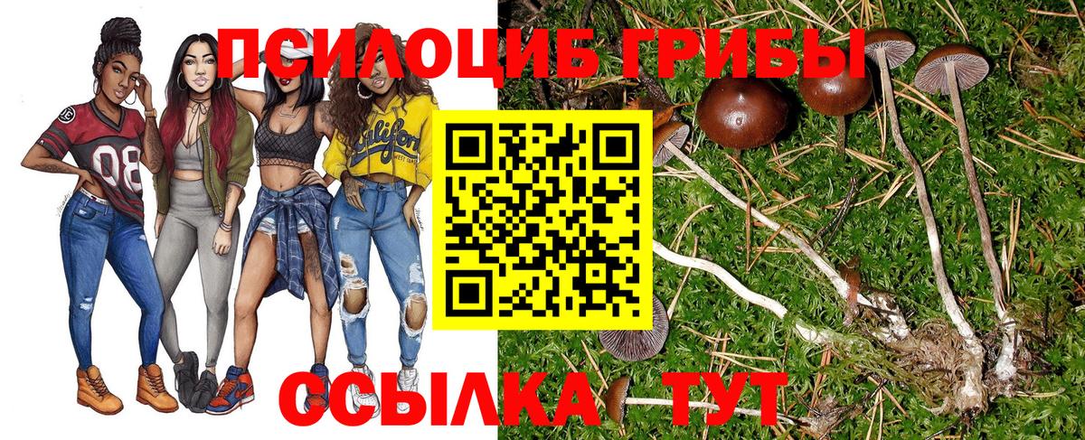Галлюциногенные грибы GOLDEN TEACHER Воткинск