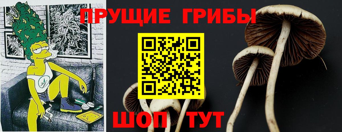 Галлюциногенные грибы ЛСД  купить   Вход с VPN  Воткинск  Галлюциногенные грибы ЛСД 